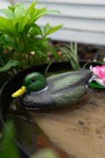 Селезень для водойм (25см)