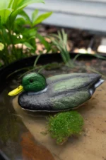 Селезень для водойм (25см) - Зображення 3