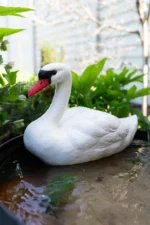 Лебідь для водойм - Зображення 6