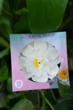Лілія штучна 10 см МІКС - Зображення 5